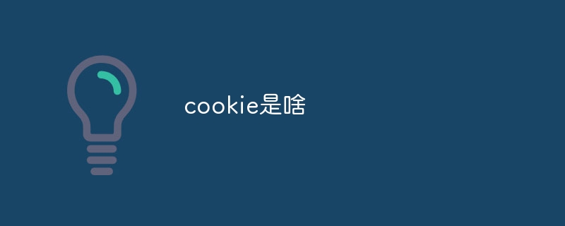 小秘密大揭露！网站里的神秘小玩意儿Cookie到底有何妙用？