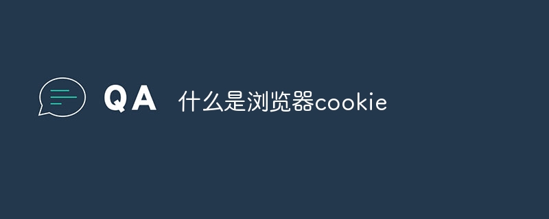 网页小秘密揭晓！Cookie：你的网上贴心小助手