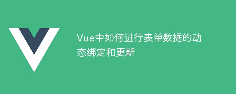 Vue前端开发必备技巧：表格Form妙用，v-model指令解密