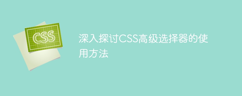 CSS选择器大揭秘！子选择器、相邻兄弟、通用兄弟，谁更强？