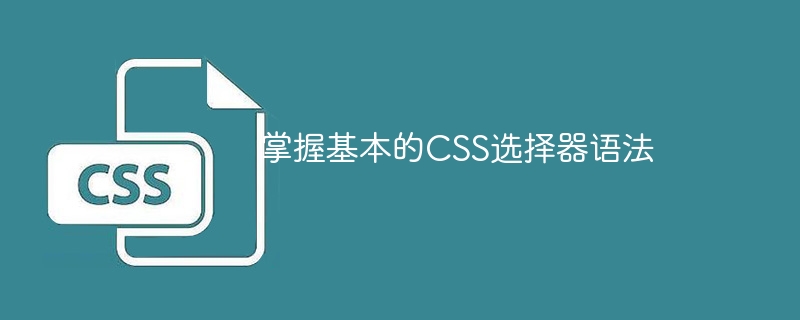 元素选择器兄弟，一键找段子！CSS变魔术，快来试试