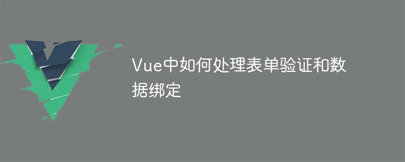 Vue表单验证：填写更靠谱、用着更舒心