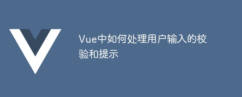 Vue前端开发必备：3个小技巧轻松搞定用户输入验证