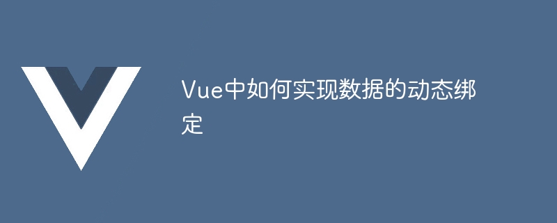 Vue数据绑定大揭秘！从实例到指令，让数据和DOM元素如影随形