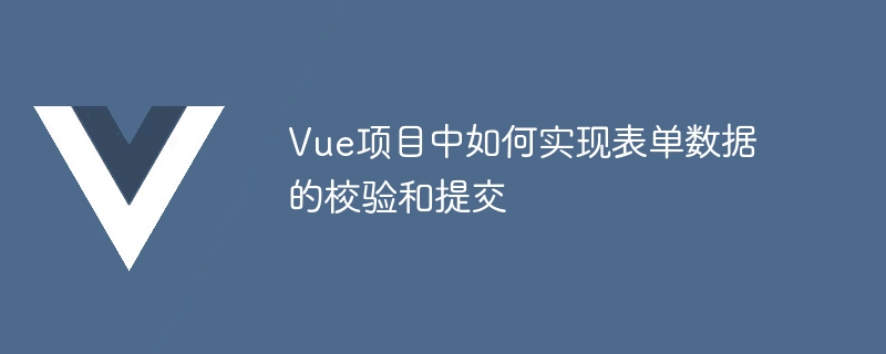 Vue前端必备：表单验证神器Vee Validate助你一键搞定