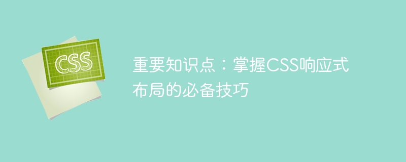 手机屏幕自适应必备技能！学会CSS响应式设计，让网页美美哒