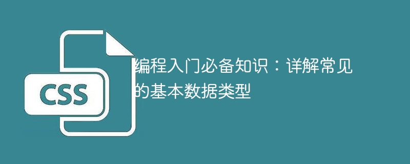 Java整数类型大揭秘：byte、short、int和long，存储数字个数究竟有何不同？