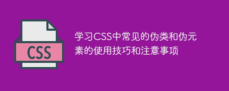 CSS神器大揭秘：让网页设计更霸气更吸睛