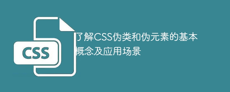 CSS必备利器：伪类和伪元素大揭秘