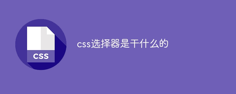 CSS选择器：让网页美美的秘密武器