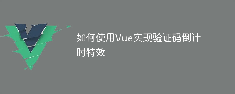 等你看到数字变成0，再按一次！Vue实现验证码倒计时教程