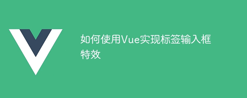 Vue.js带你飞！打造超炫标签输入框，让用户欲罢不能