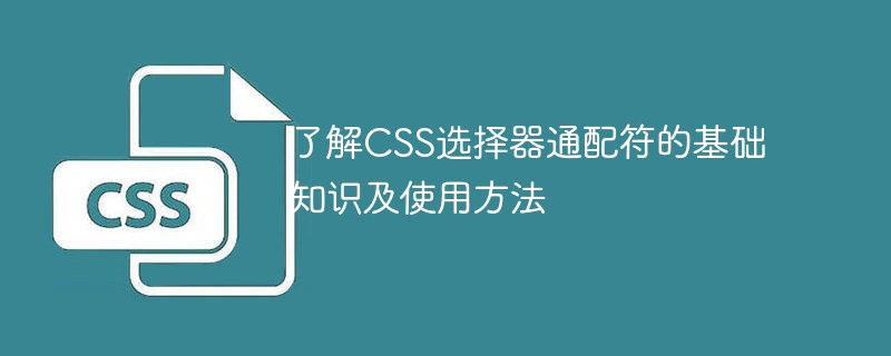 CSS通配符大揭秘：一招变美全家福