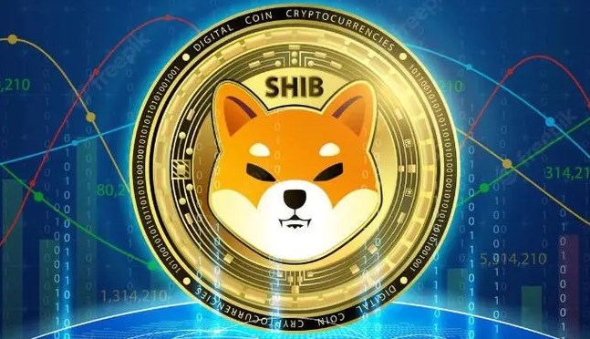 深度解析 SHIB 交易规则，带你走进数字货币的神秘世界