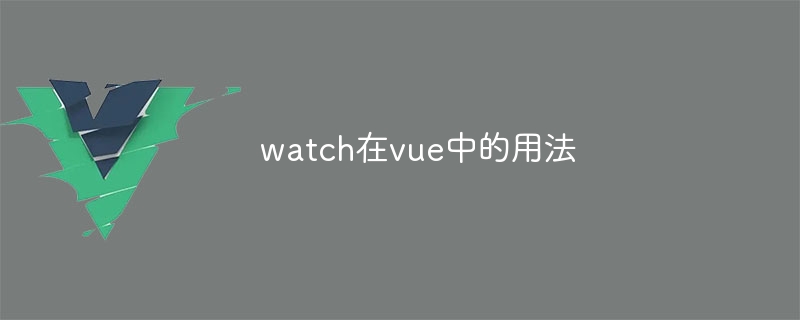 Vue 的 watch 函数：实时感知数据变化，让编程更便捷