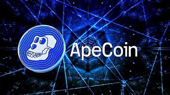 ApeCoin 长期持有价值分析：社区、合作与项目管理