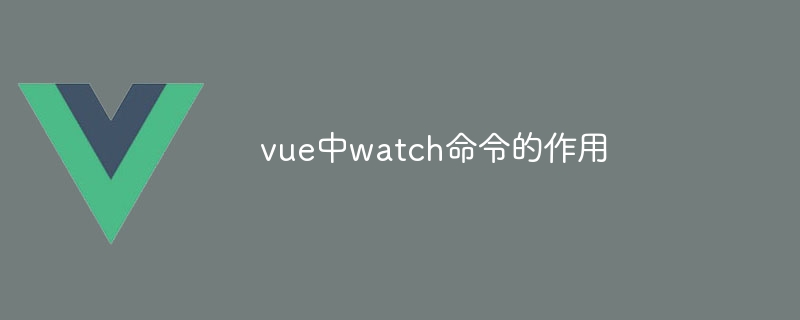 Vue.js 的神奇 watch 命令：让你的 app 反应速度快又准确