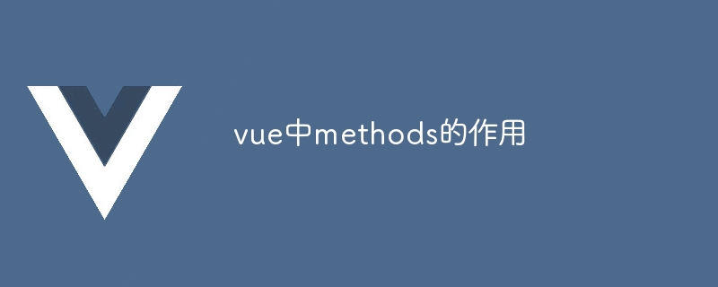 Vue.js 中 methods 的使用心得与体会：让代码更清晰高效