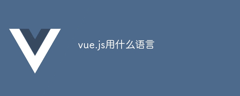 Vue.js：提升开发效率的超火 JavaScript 框架