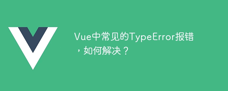 解决 Vue 开发中常见的 TypeError 报错及方法