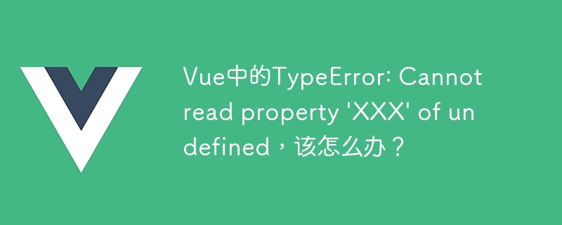 Vue 开发中常见的 TypeError: Cannot read property XXX of undefined 错误及解决方法