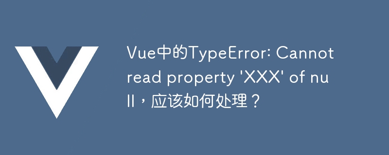 Vue 开发中 TypeError: Cannot read property XXX of null 错误的处理方法