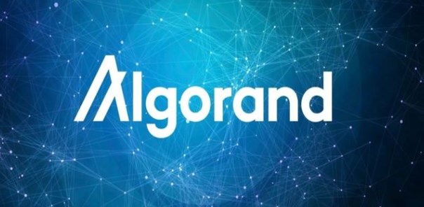 深入了解 Algo 币：Algorand 生态链的原生代币及其重要用途