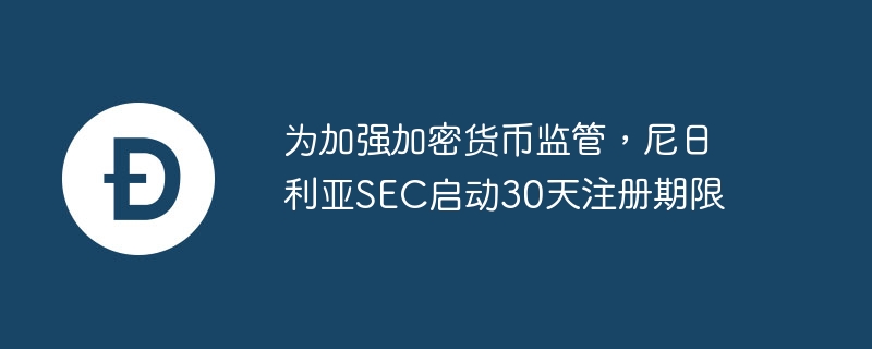 尼日利亚 SEC 推出新注册计划，加速 VASP 注册流程