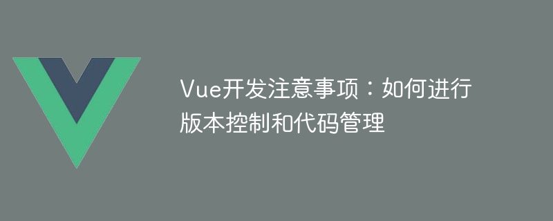 Vue 开发中版本控制和代码管理的注意事项