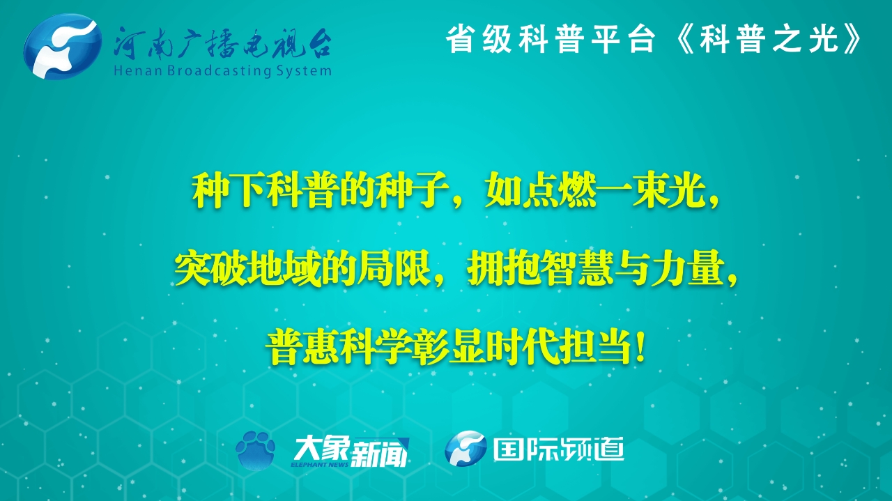 嵌入视频常见问题及解决方案汇总，助你轻松应对视频播放难题