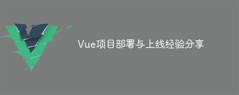 Vue 项目部署与上线经验分享：环境准备与打包项目