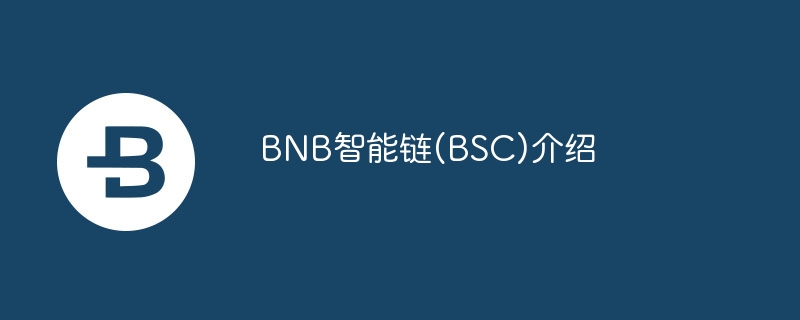 BNB Smart Chain：高性能区块链的 Web3 工具与 DApp 解析