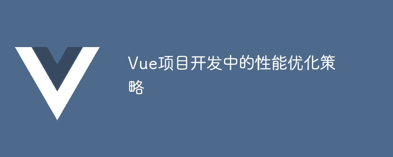 优化大型复杂 Vue 项目性能的实用技巧